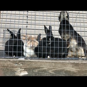 Meet your Posher, Ellie